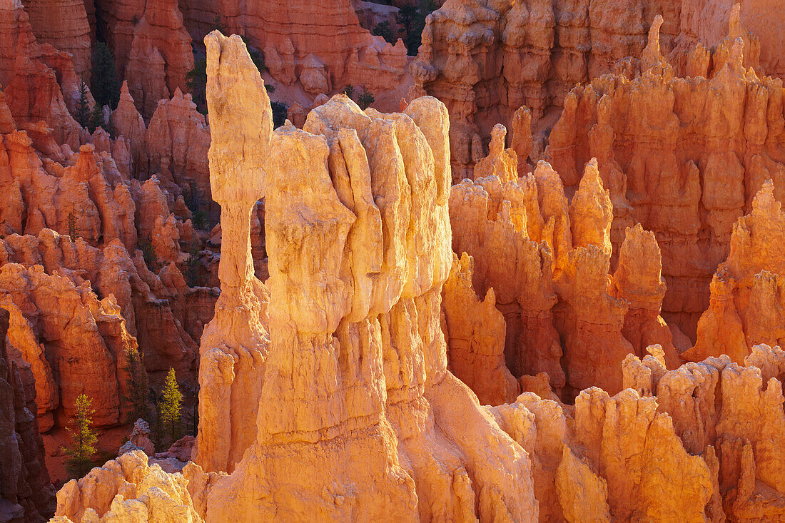 Blick vom Inspiration Point in das Bryce Amphitheater , Bryce Canyon National Park , Utah , U.S.A. , Amerika