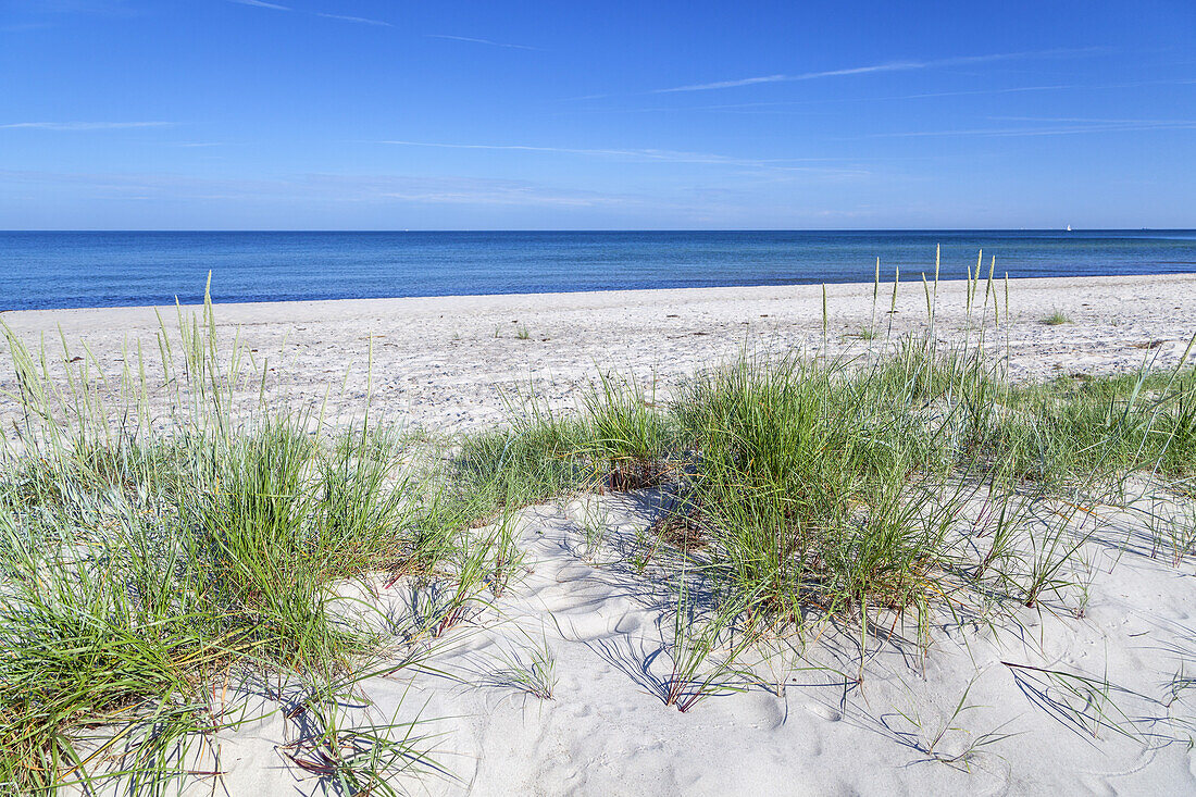Beach darsser Ort, Baltic seaside resort Prerow, Fischland-Darss-Zingst, Baltic coast, Mecklenburg-Western Pomerania, Northern Germany, Germany, Europe
