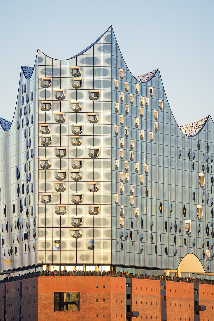 Concert hall Elbphilharmonie on the river Elbe, HafenCity, Hanseatic city of Hamburg, Northern Germany, Germany, Europe