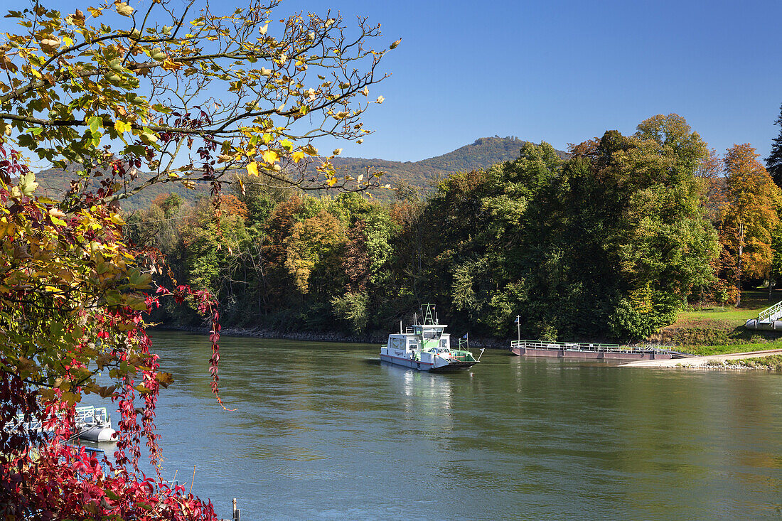 Ferry boat to Nonnenwerth island on the river Rhine, Rolandswerth, Remagen, Middle Rhine Valley, North Rhine-Westphalia, Germany, Europe