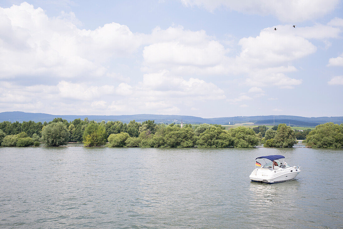 Bootsfahrt auf dem Rhein, bei Hattenheim, Rheingau, Hessen, Deutschland