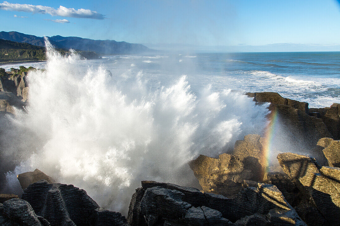 Pfannkuchen-Felsen, Gischt, Brecher, Wasserexplosion, Brandung schießt durch Höhlen unter den Pancake Rocks, dramatisch, Regenbogen, Springflut, Naturerlebnis, Kalkschichtstein, Westküste, Punakaiki, Dolomite Point, Tasman Sea, Südinsel, Neuseeland