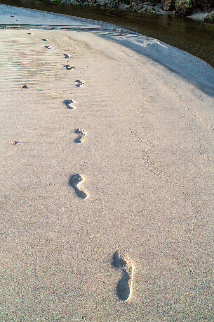 barefoot, footprints in sand on beach, pristine beach, high format, nobody, Stewart Island, New Zealand