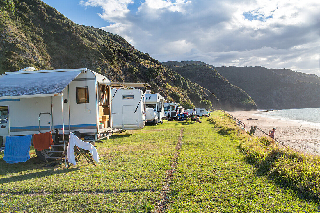 campground direct on beachfront, campervans front row, golden sand, Tauranga Bay, Northland, North Island, New Zealand