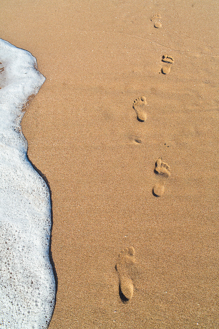 footprints in sand on beach, pristine beach, barefoot, high format, Tauranga Bay, Northland, North Island, New Zealand