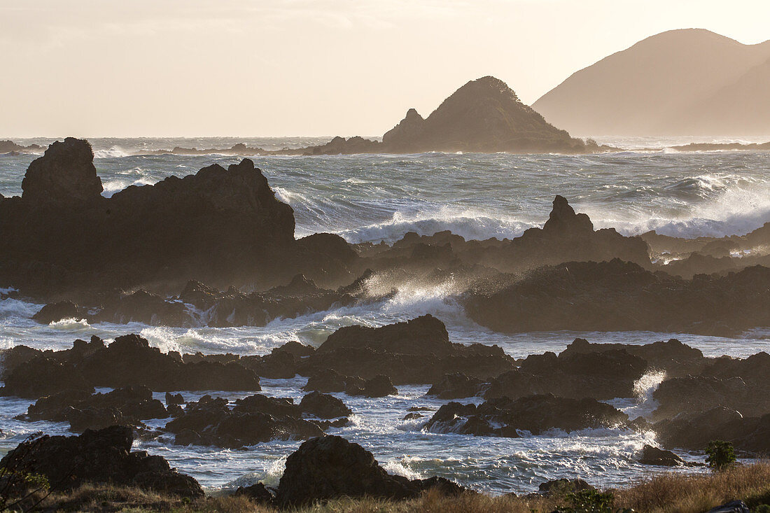 Owhiro Bay, südlich von Wellington, rauhe Ozean, Brandung, Felsküste, Wellen, vor Cook Strait, Nordinsel, Neuseeland