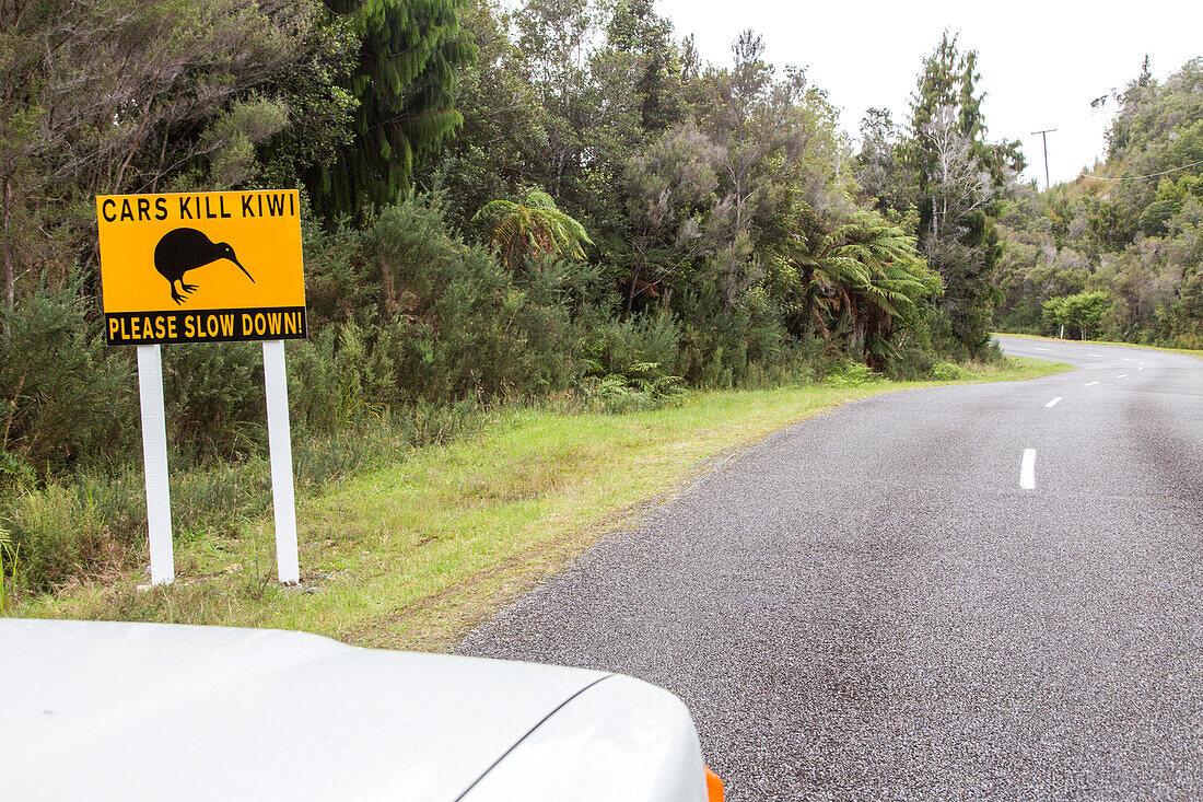 road warning sign, slow down for kiwis, forest fringed road, Okarito, South Island, New Zealand