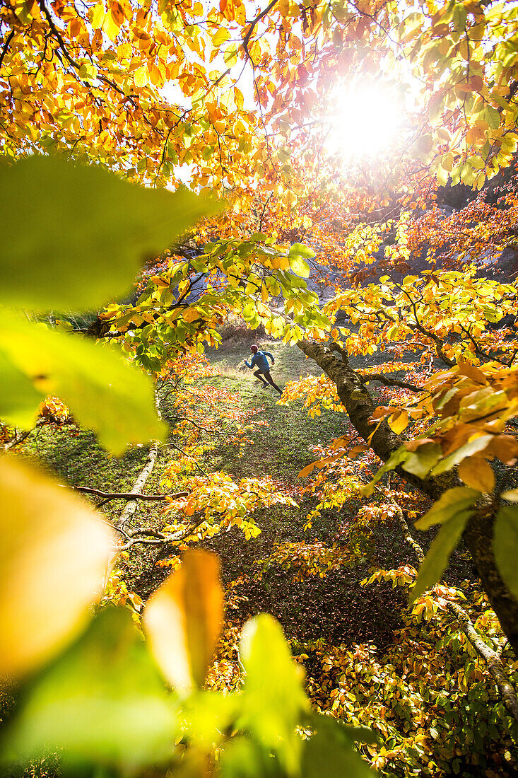 Young man running through a colorful autumn forest, Allgaeu, Bavaria, Germany