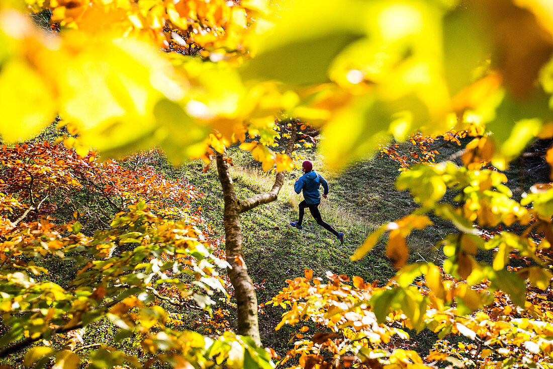 Junger Mann rennt durch einen herbstlich bunten Wald, Allgäu, Bayern, Deutschland