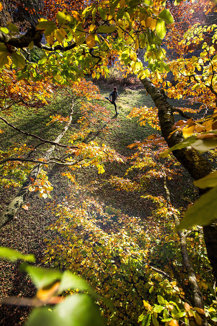 Young man running through a colorful autumn forest, Allgaeu, Bavaria, Germany