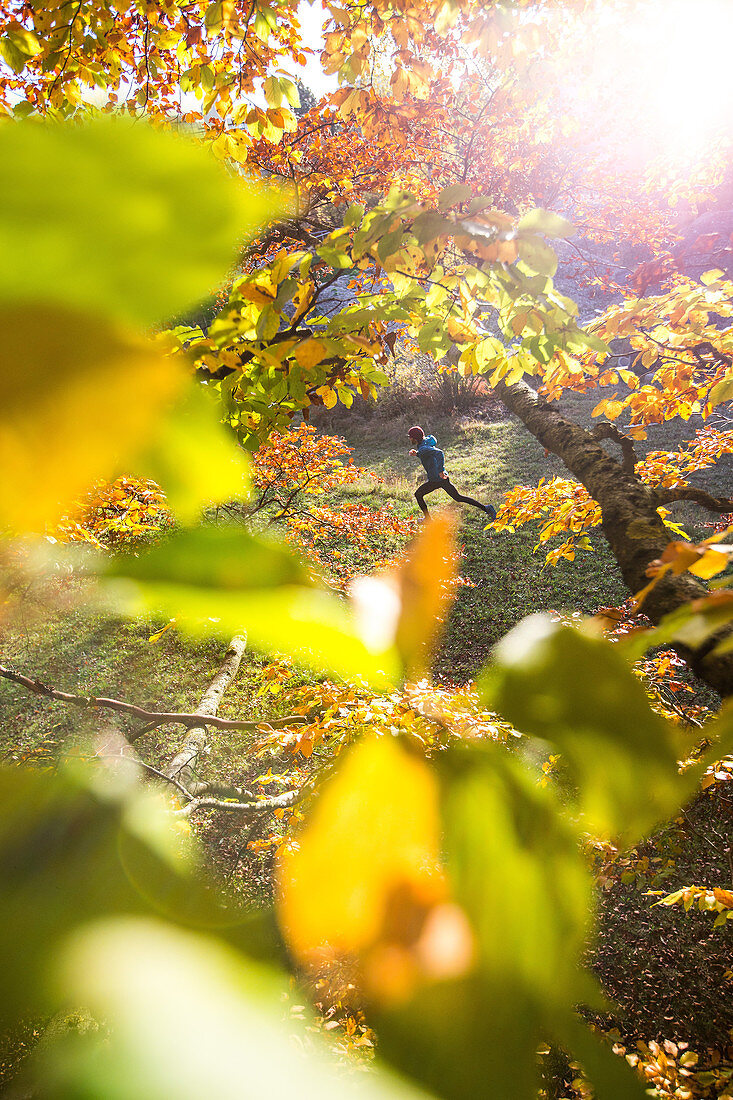 Junger Mann rennt durch einen herbstlich bunten Wald, Allgäu, Bayern, Deutschland