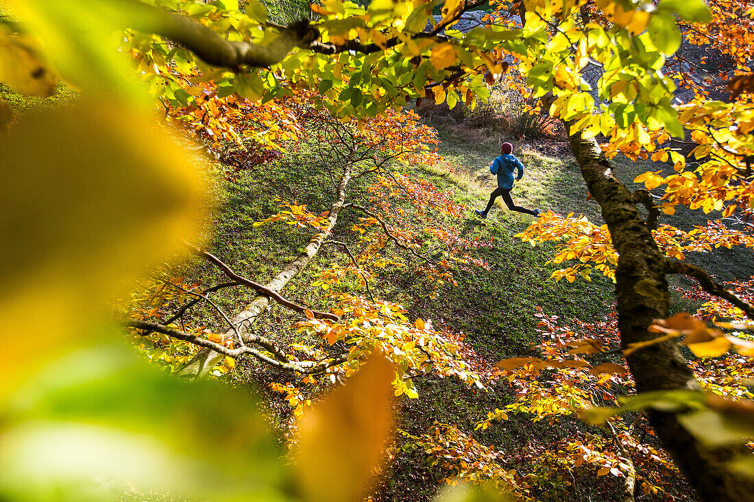 Young man running through a colorful autumn forest, Allgaeu, Bavaria, Germany