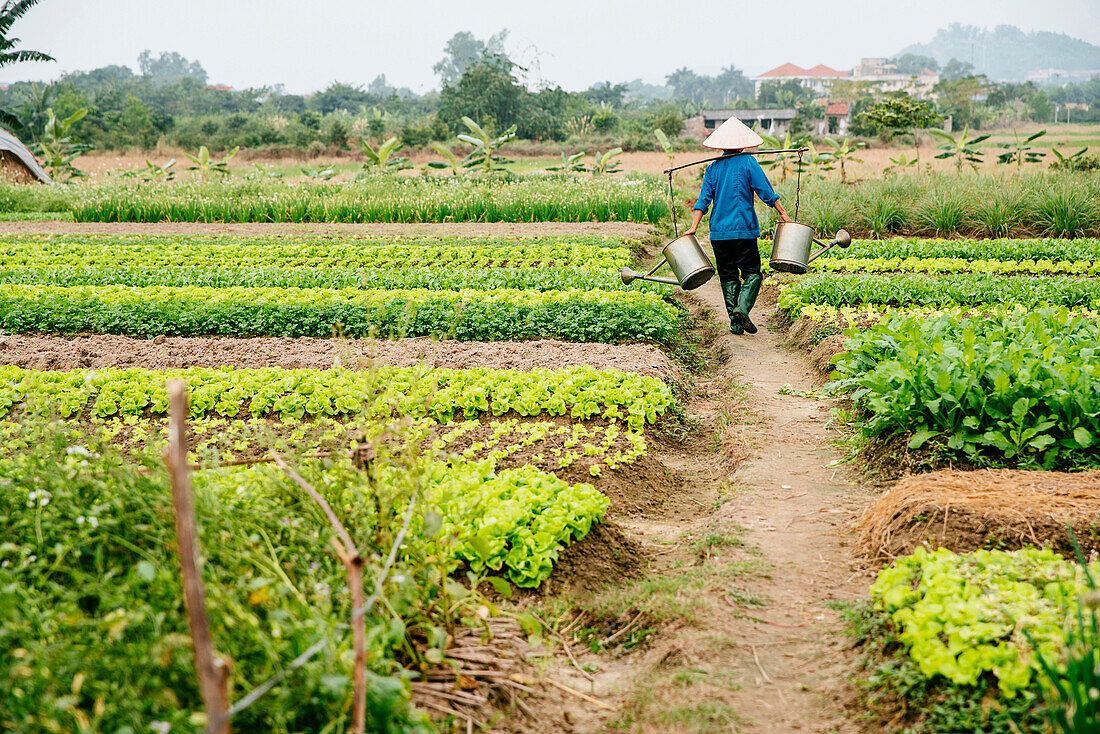 Farmer carrying water in rural crop field