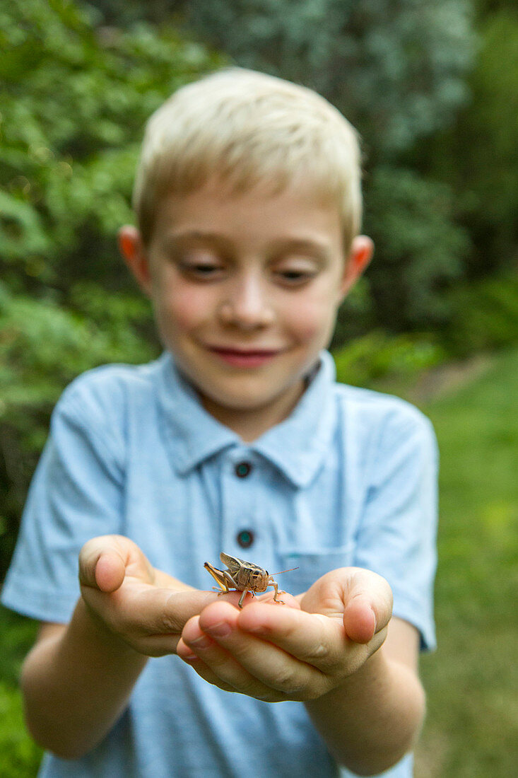 Caucasian boy cupping grasshopper in hands