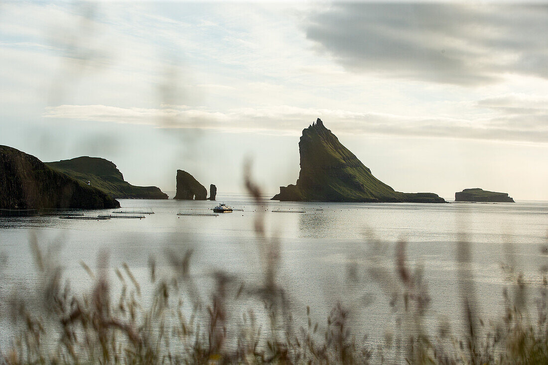 Interesting green cliff formation in the sea, Faeroe Islands