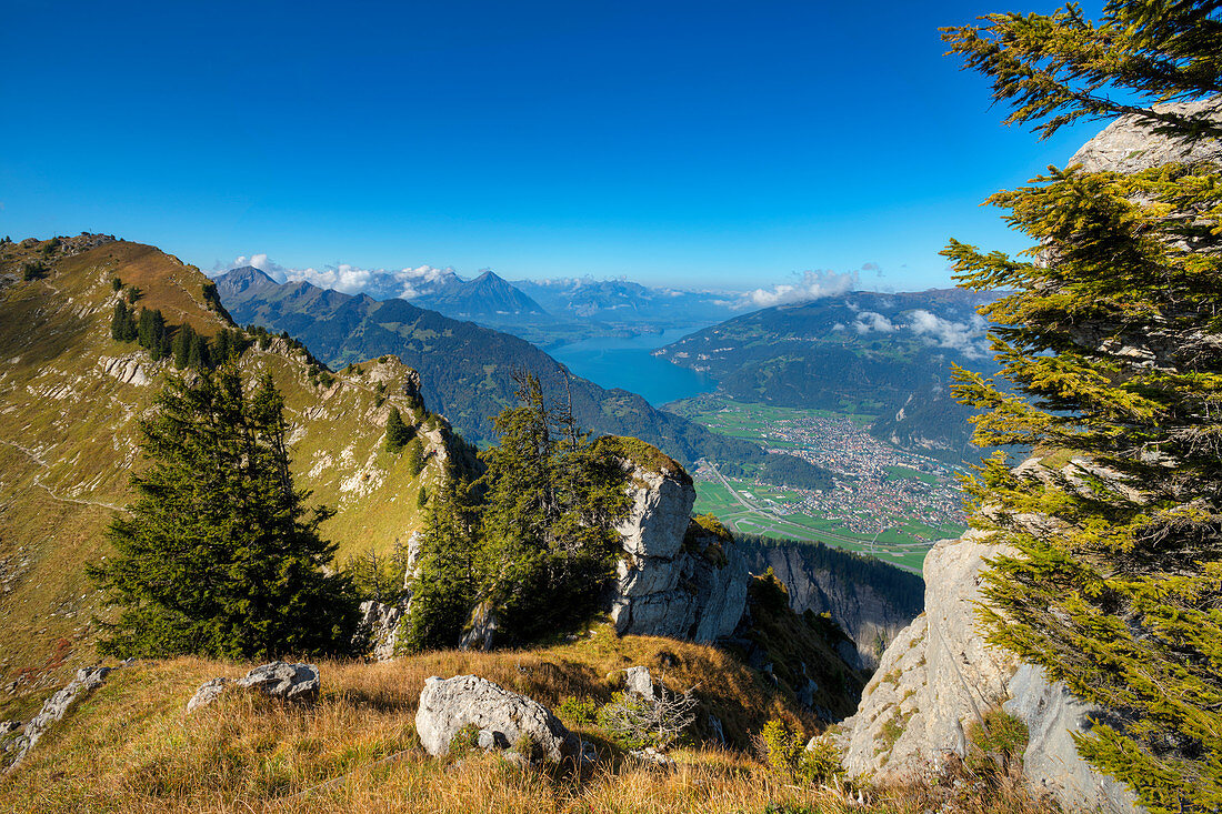 Blick vom Oberberghorn auf den Thuner See und Interlaken, Grindelwald, Berner Oberland, Kanton Bern, Schweiz