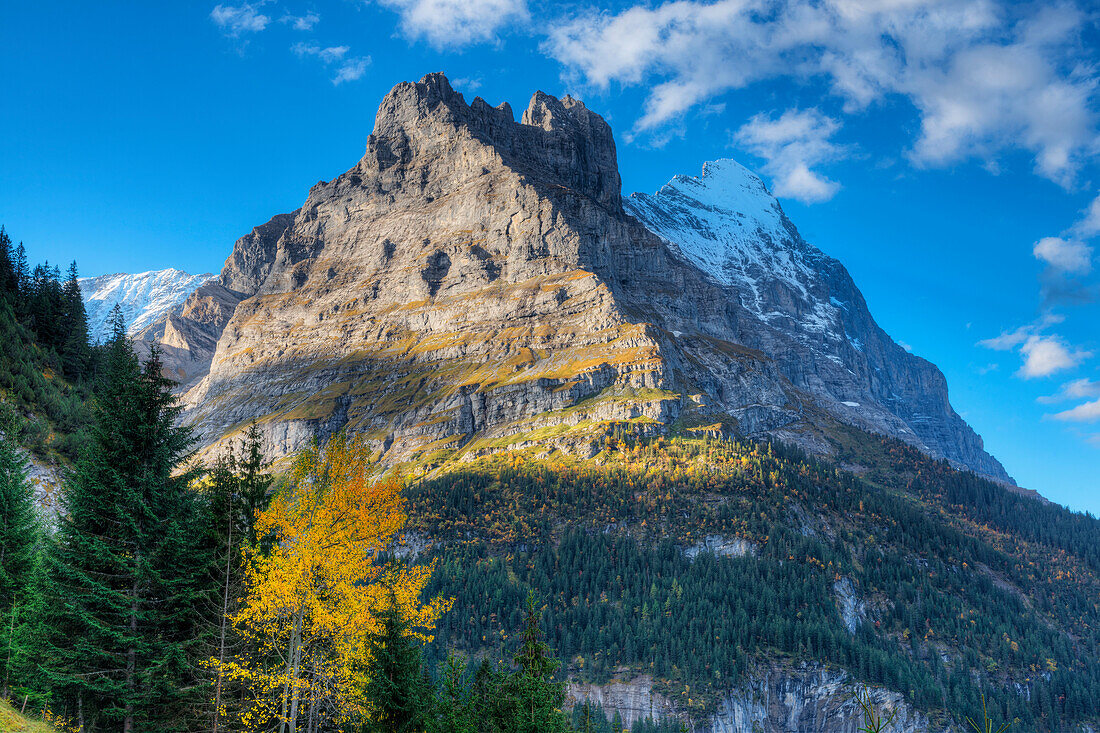 View from Pfingstegg at Eiger with the Mittelegi ridge, Grindelwald, Bernese alps, Canton Berne, Switzerland