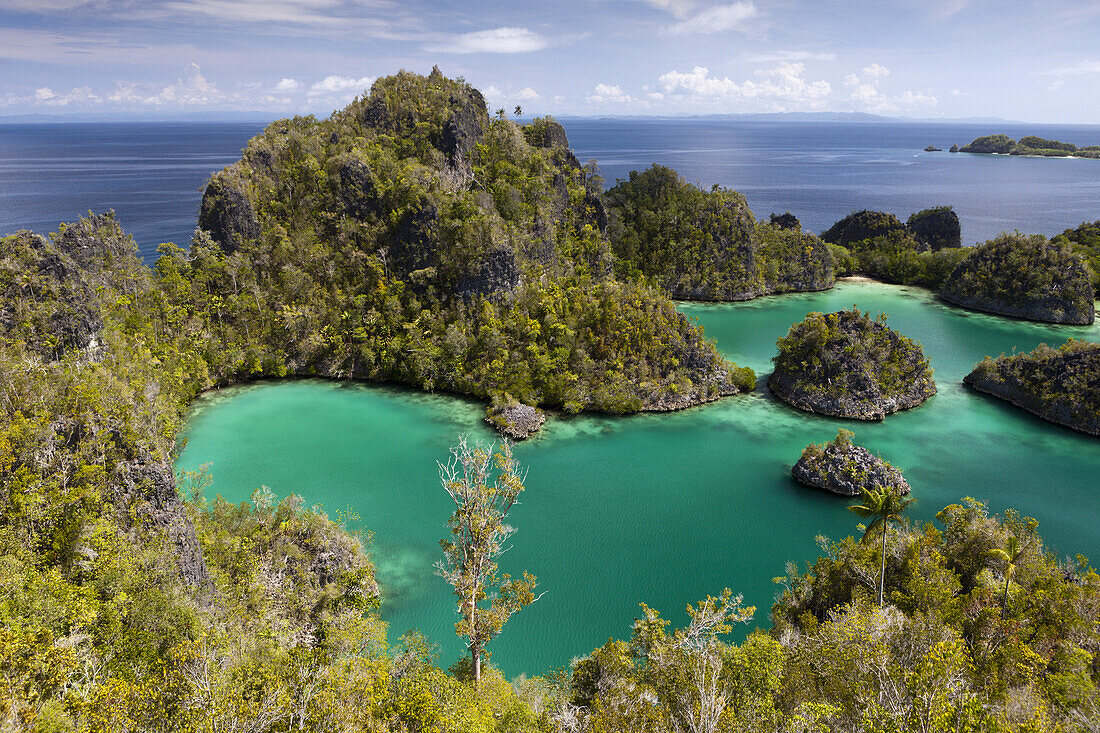 Rock Islands der Insel Penemu, Raja Ampat, West Papua, Indonesien