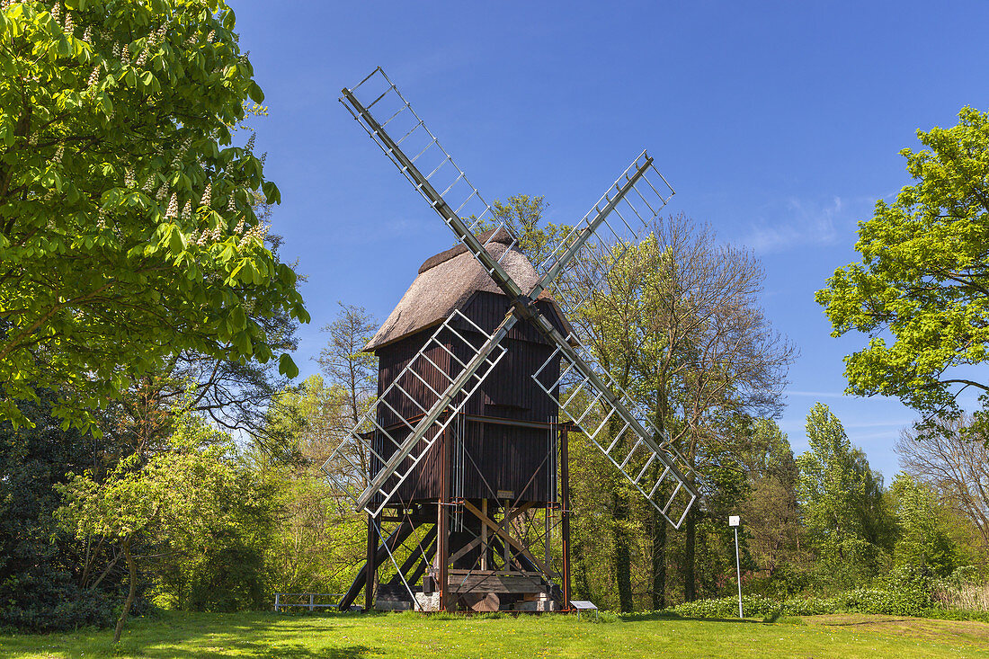 'Bockwindmühle im Freilichtmuseum ''Auf der Insel'', Hansestadt Stade, Altes Land, Niedersachsen, Norddeutschland, Deutschland, Europa '