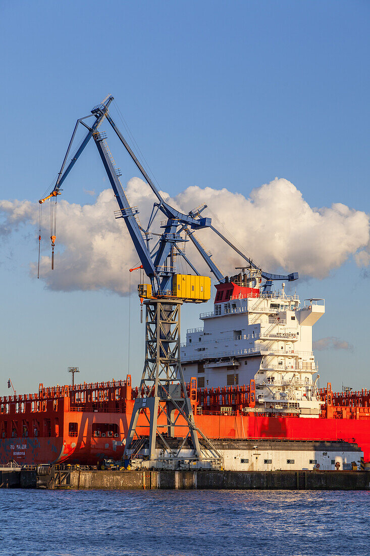 Dock 10 Blohm + Voss im Hamburger Hafen, Altona-Altstadt, Hansestadt Hamburg, Norddeutschland, Deutschland, Europa