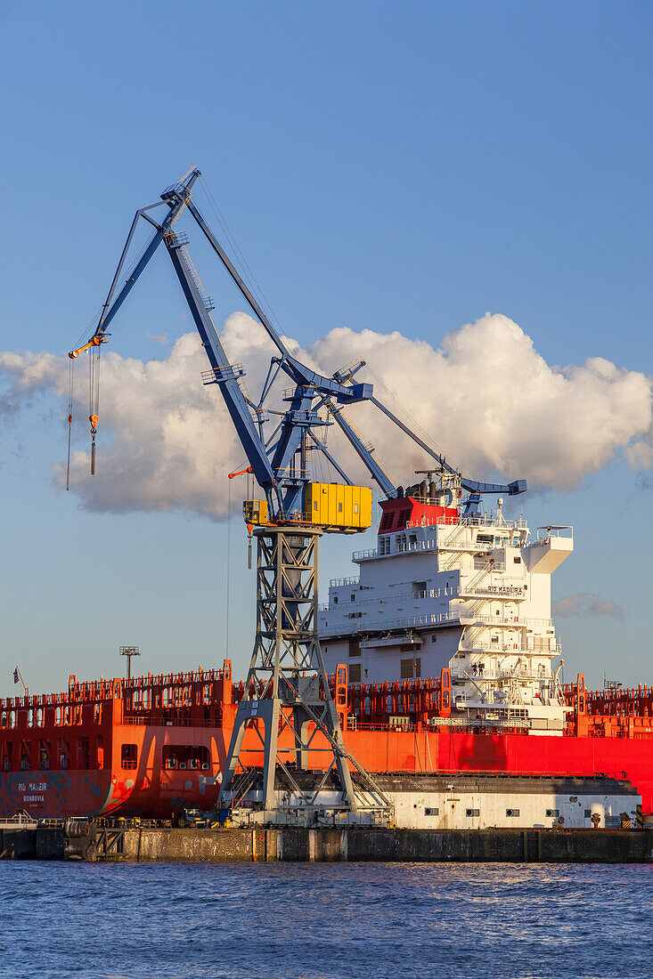 Dock 10 Blohm + Voss in the Port of Hamburg, Altona, Hanseatic City of Hamburg, Northern Germany, Germany, Europe