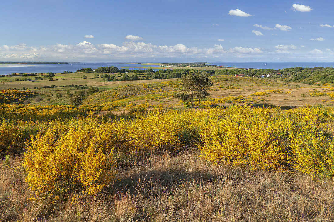 View from the Inselblick on the Dornbusch near Kloster, Island Hiddensee, Baltic coast, Mecklenburg-Western Pomerania, Northern Germany, Germany, Europa