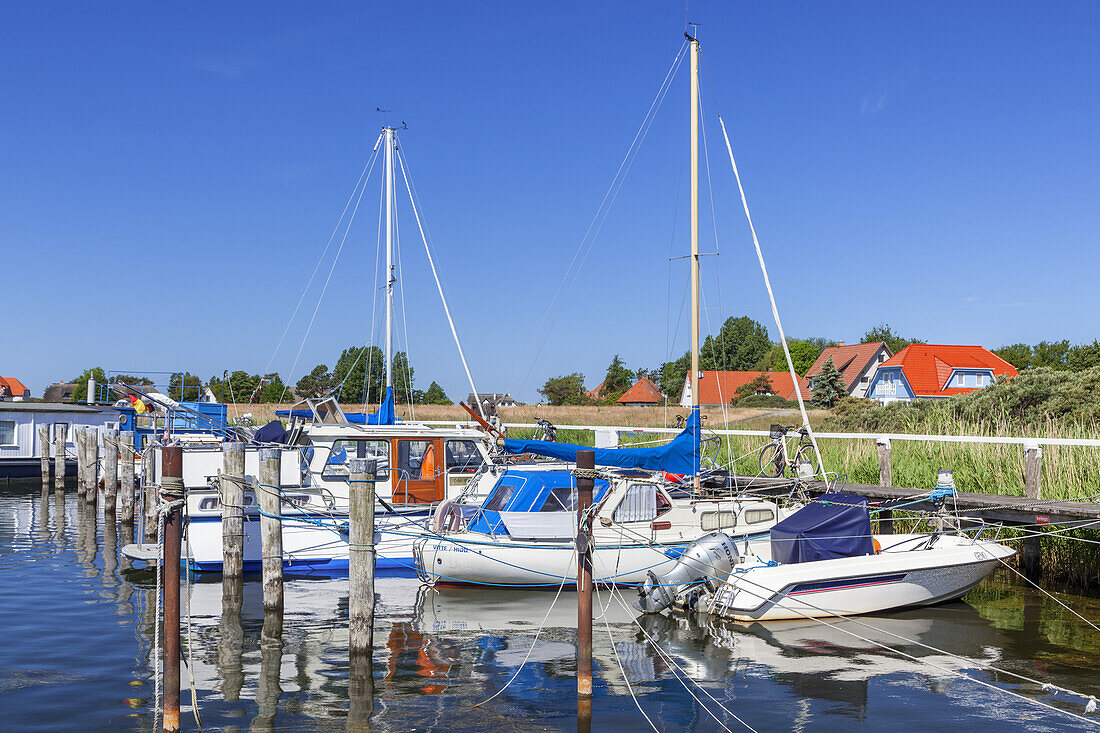 Boote im Hafen in Kloster, Insel Hiddensee, Ostseeküste, Mecklenburg-Vorpommern,  Norddeutschland, Deutschland, Europa