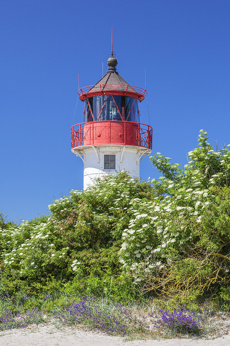 Lighthouse on the Gellen south of Neuendorf, Island Hiddensee, Baltic coast, Mecklenburg-Western Pomerania, Northern Germany, Germany, Europa