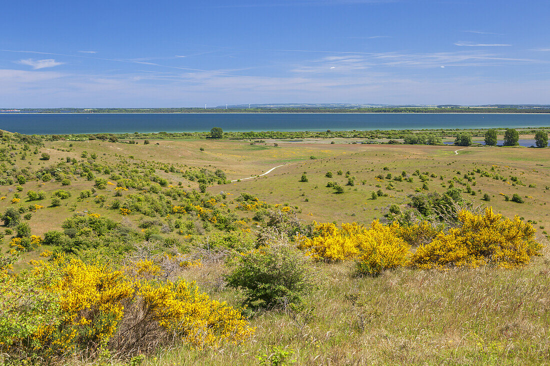 Blick vom Dornbusch auf die Insel Rügen, bei Kloster, Insel Hiddensee, Ostseeküste, Mecklenburg-Vorpommern,  Norddeutschland, Deutschland, Europa