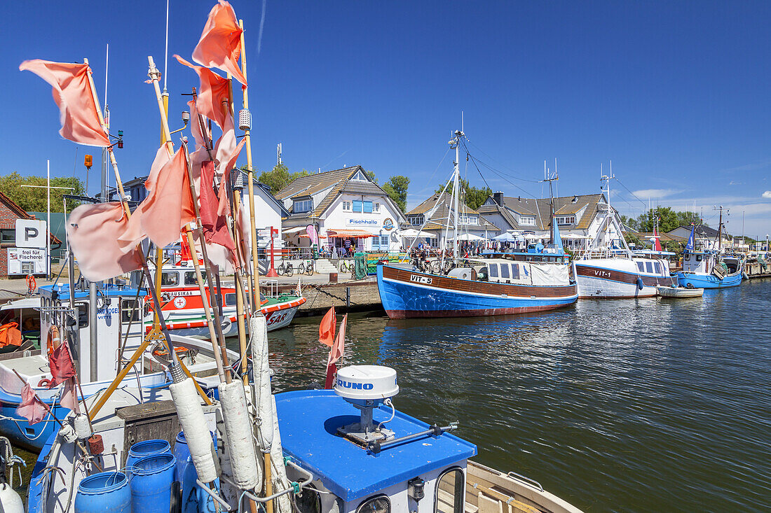 Hafen in Vitte, Insel Hiddensee, Ostseeküste, Mecklenburg-Vorpommern, Norddeutschland, Deutschland, Europa