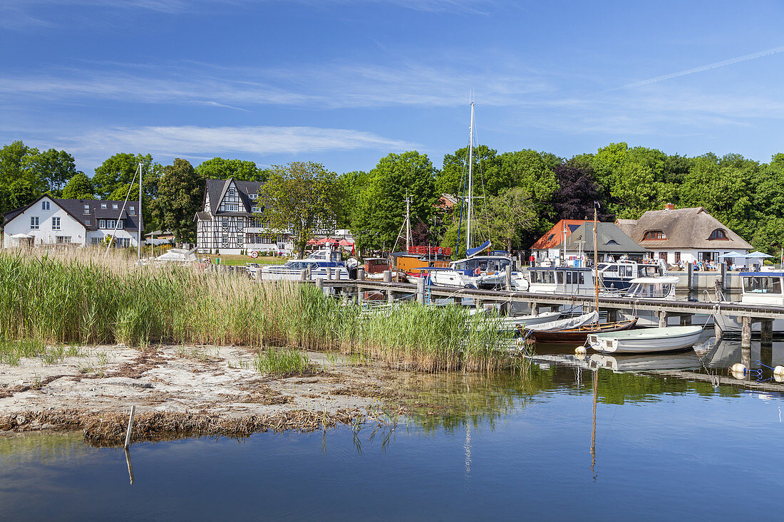 Hafen in Kloster, Insel Hiddensee, Ostseeküste, Mecklenburg-Vorpommern,  Norddeutschland, Deutschland, Europa