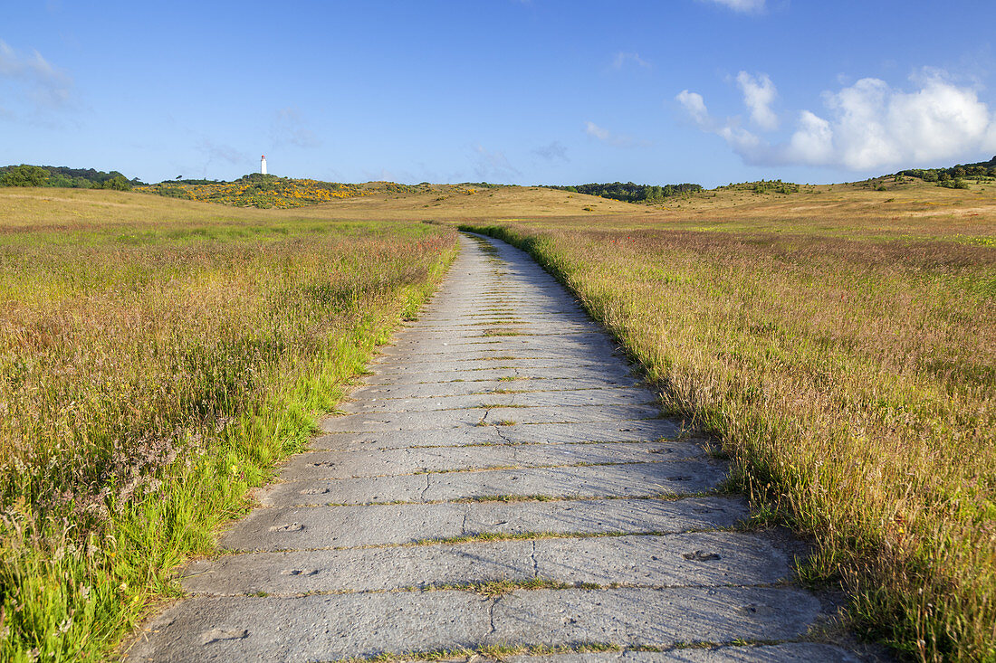 Weg zum Leuchtturm auf dem Dornbusch, Kloster, Insel Hiddensee, Ostseeküste, Mecklenburg-Vorpommern,  Norddeutschland, Deutschland, Europa