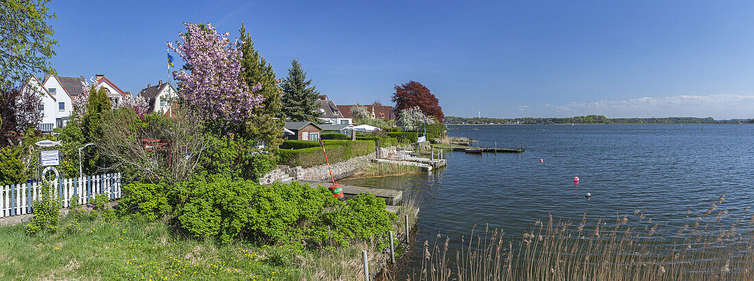 Houses by the Schlei in Schleswig, Baltic coast, Schleswig-Holstein, Northern Germany, Germany, Europe