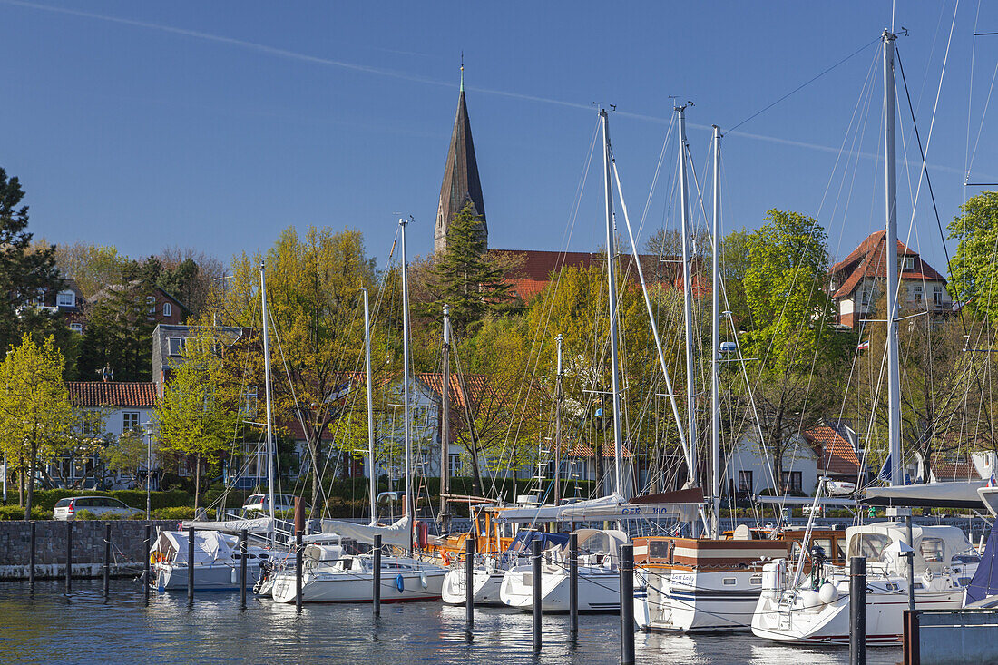 Hafen in Eckernförde, Ostseeküste, Schleswig-Holstein, Norddeutschland, Deutschland, Europa