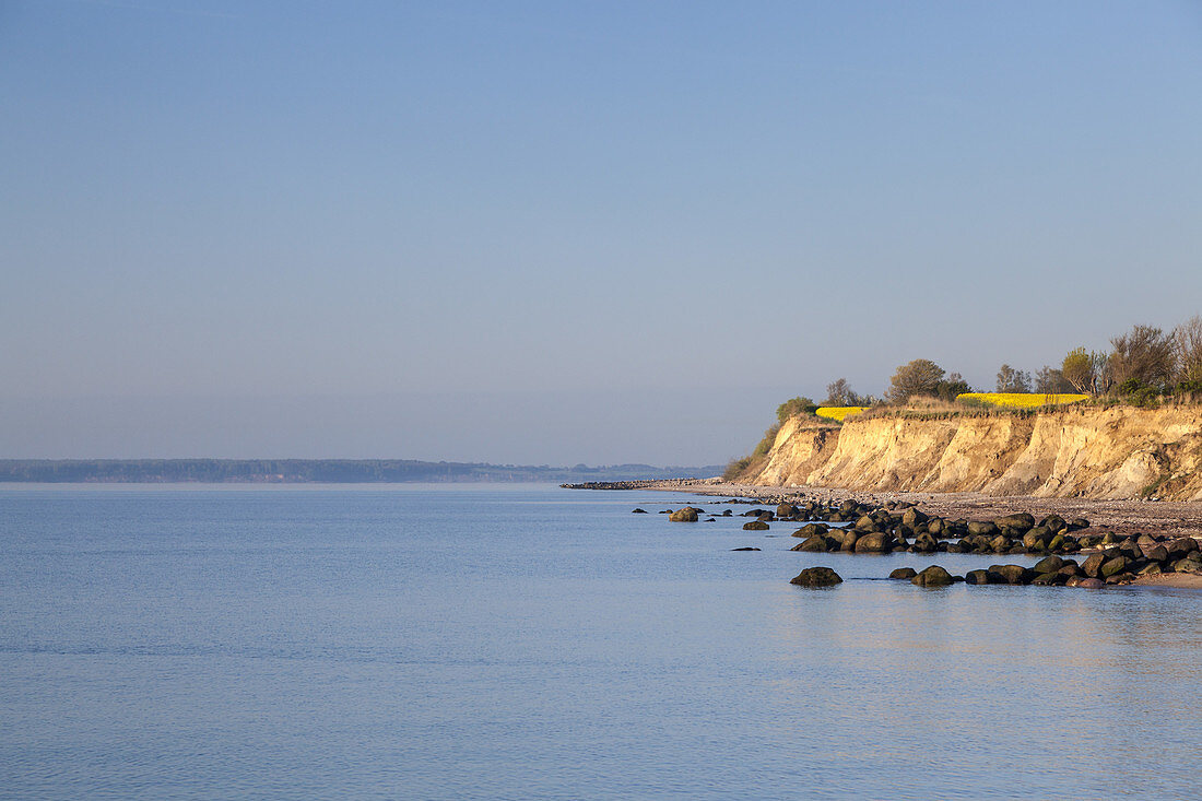 Cliffs in Waabs, Baltic coast, Schleswig-Holstein, Northern Germany, Germany, Europe