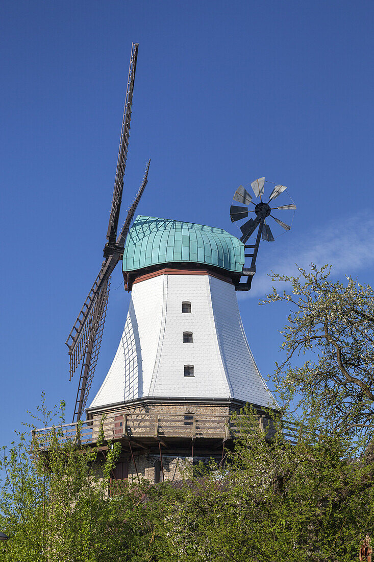 Windmill Amanda in Kappeln, Baltic coast, Schleswig-Holstein, Northern Germany, Germany, Europe