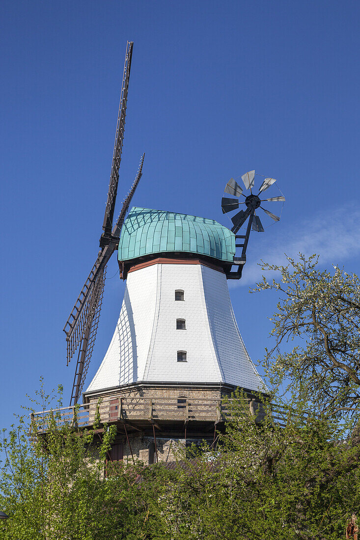 Windmühle Amanda in Kappeln, Ostseeküste, Schleswig-Holstein, Norddeutschland, Deutschland, Nordeuropa, Europa