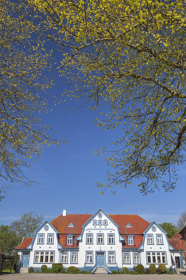 Haus in Nieby, Ostseeküste, Schleswig-Holstein, Norddeutschland, Deutschland, Nordeuropa, Europa