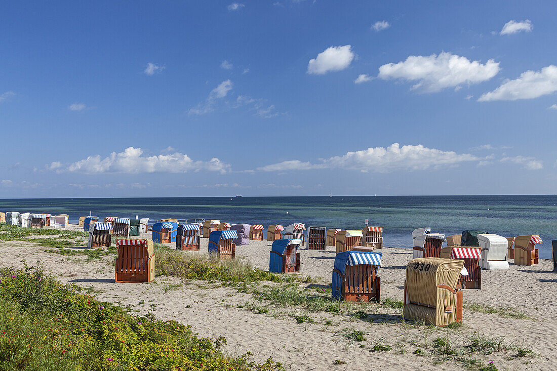 Beach near Strand, Baltic coast, Schleswig-Holstein, Northern Germany, Germany, Europe