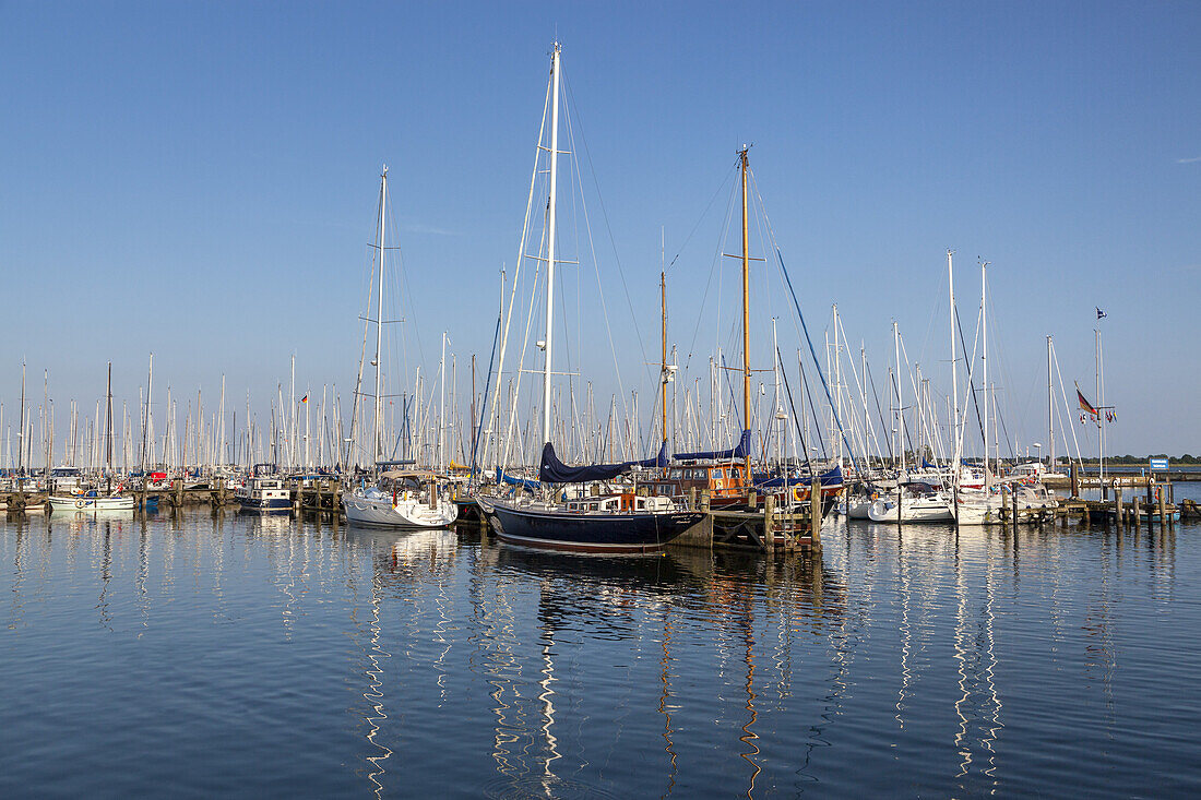 Yachthafen in Maasholm an der Schlei, Ostseeküste, Schleswig-Holstein, Norddeutschland, Deutschland, Nordeuropa, Europa