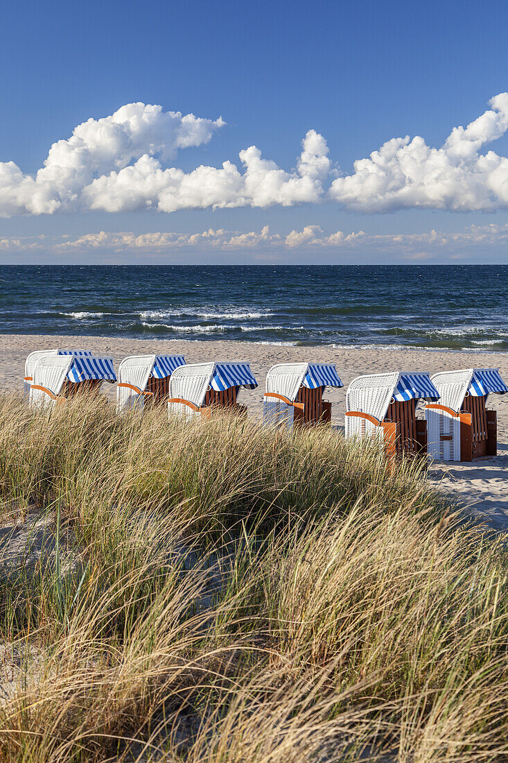 Beach chairs on the beach in Baltic resort Baabe, Island Ruegen, Baltic Sea coast, Mecklenburg-Western Pomerania, Northern Germany, Germany, Europe