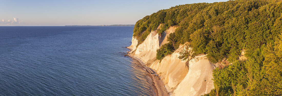 Cliffs at the chalk coast in national park Jasmund, Sassnitz, Peninsula Jasmund, Island Ruegen, Baltic Sea coast, Mecklenburg-Western Pomerania, Northern Germany, Germany, Europe