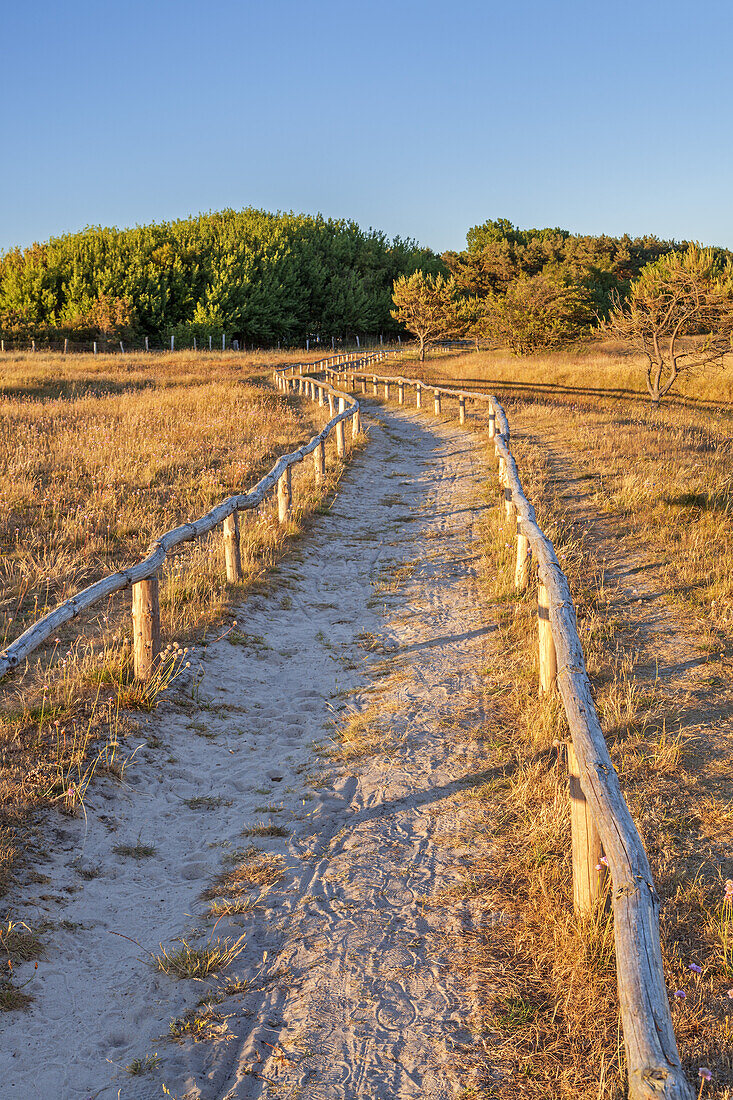 Weg am Steilufer bei Dranske auf der Halbinsel Wittow, Insel Rügen, Ostseeküste, Vorpommern, Mecklenburg-Vorpommern, Norddeutschland, Deutschland, Europa