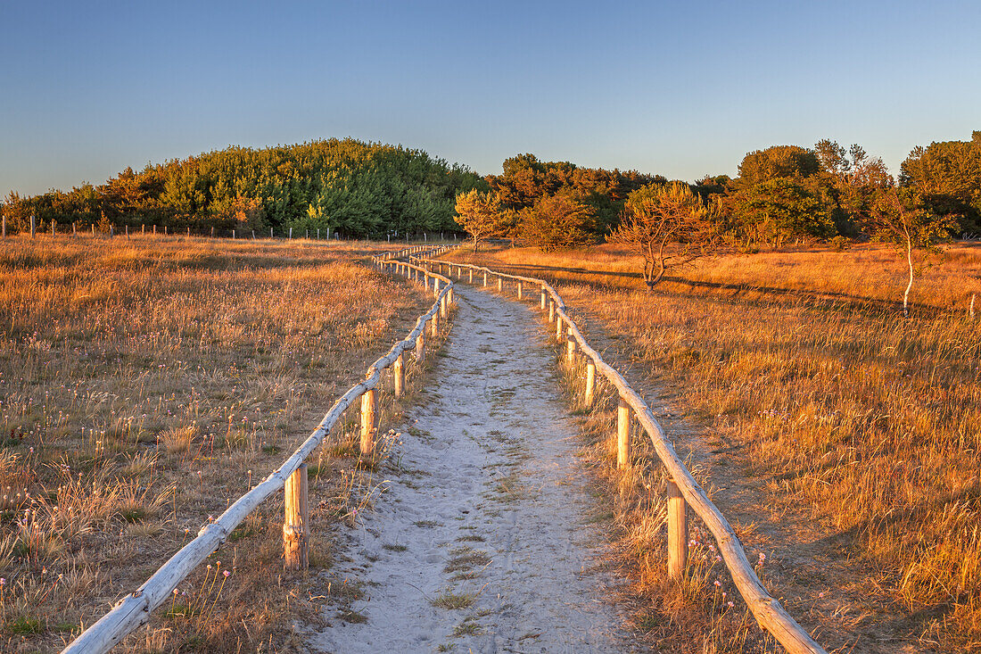 Weg am Steilufer bei Dranske auf der Halbinsel Wittow, Insel Rügen, Ostseeküste, Vorpommern, Mecklenburg-Vorpommern, Norddeutschland, Deutschland, Europa