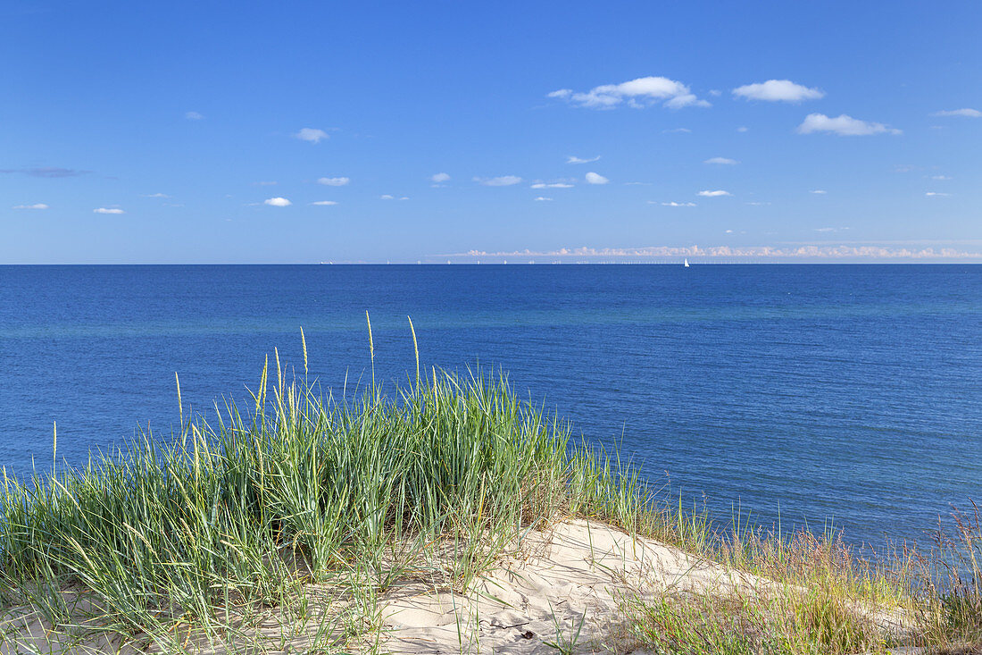 Dünen an der Steilküste bei Dranske, Halbinsel Wittow, Insel Rügen, Ostseeküste, Mecklenburg-Vorpommern, Norddeutschland, Deutschland, Europa