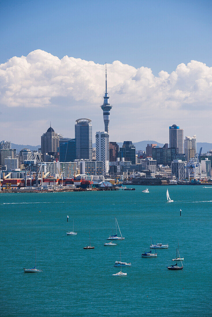 Auckland City Skyline und Auckland Hafen von Devenport, Nordinsel, Neuseeland, Pazifik gesehen