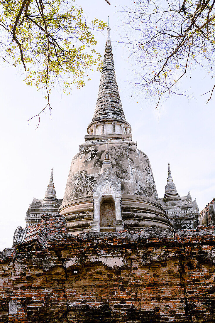 Stupa (Chedi) bei Wat Mahathat, Ayutthaya, UNESCO Weltkulturerbe, Thailand, Südostasien, Asien