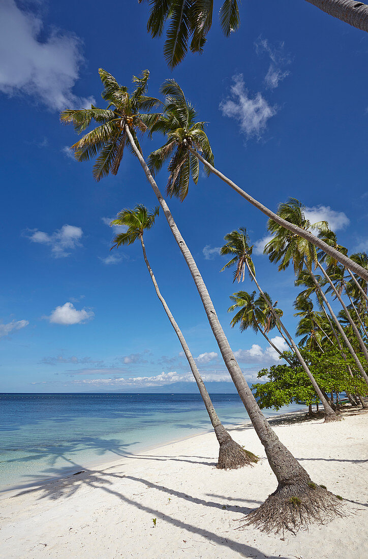 Paliton Beach, in der Nähe von San Juan, Siquijor, Philippinen, Südostasien, Asien