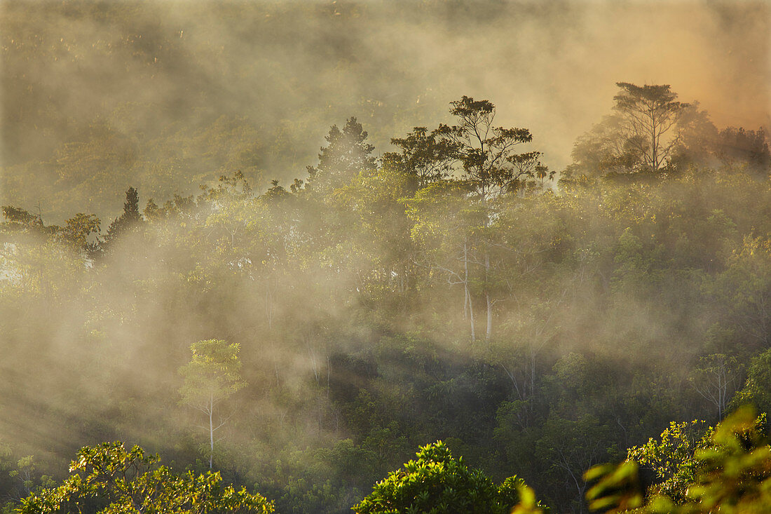 Rauch aus einem Feuer driftet über den Regenwald, in der Nähe von San Juan, Siquijor, Philippinen, Südostasien, Asien