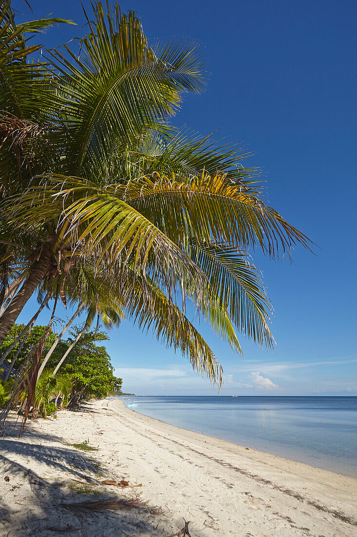 Der Strand von San Juan an der Südwestküste von Siquijor, Philippinen, Südostasien, Asien